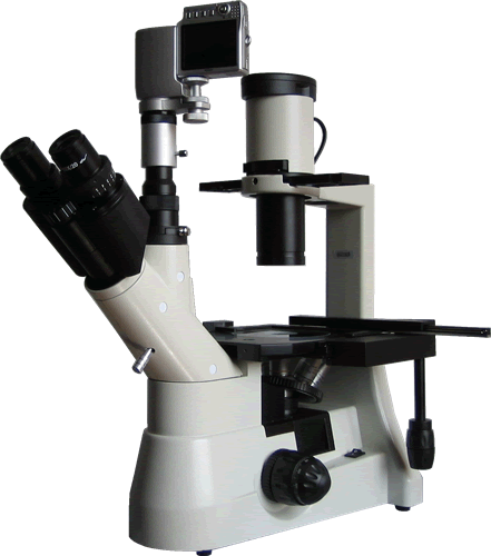 上海上光数码倒置生物显微镜BM-37XCS