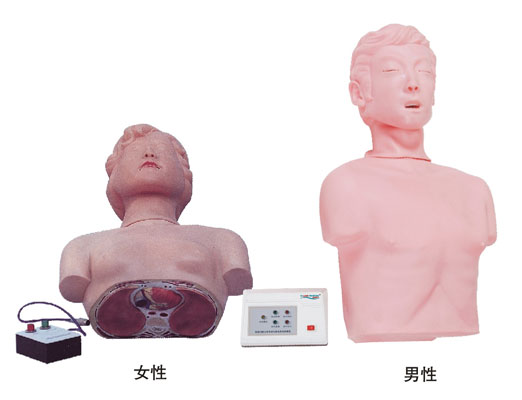半身心肺复苏训练模拟人 KAS/CPR170