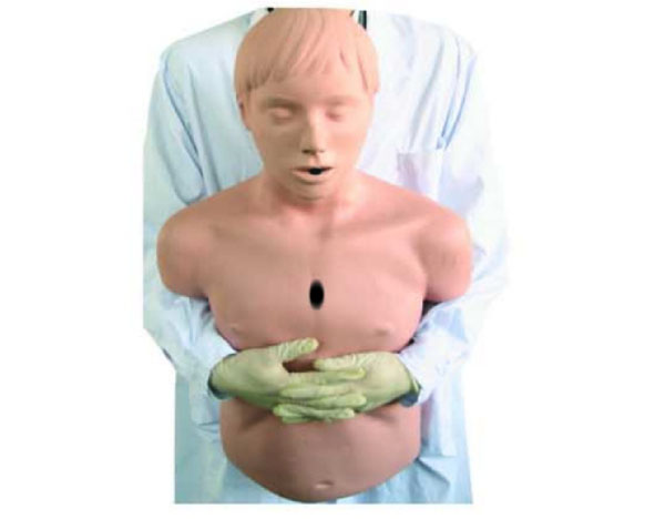 康人 高级成人气道梗塞及CPR模型 KAR/CPR155