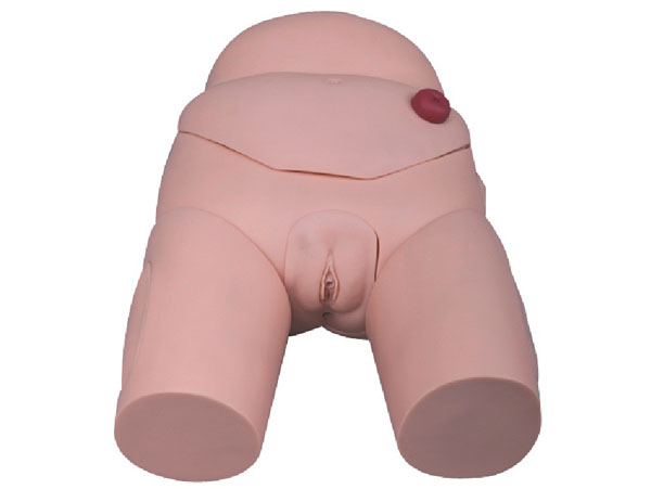 康人高级女性导尿模型KAR/D4