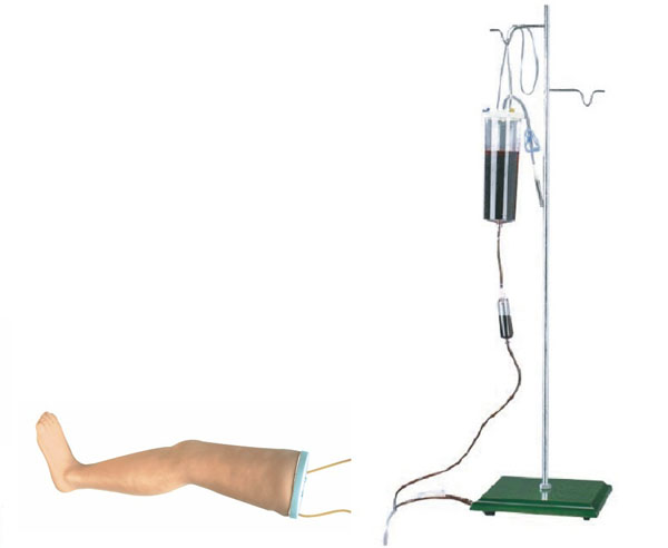 康人 高级静脉输液腿模型 KAR/S16 