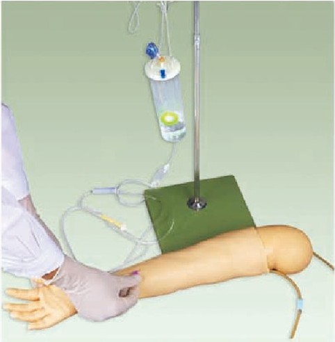 康人 高级婴儿全身静脉穿刺训练模型 KAR/S5