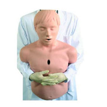  高级成人气道梗塞及CPR模型KAR/CPR155  