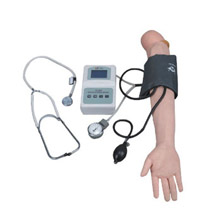  高级手臂血压测量训练模型KAR/S7  