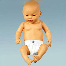  高智能婴儿模型KAR/T330  