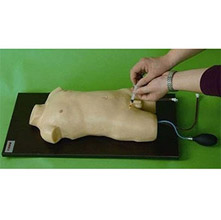  儿童股静脉与股动脉穿刺训练模型KR/H3218  