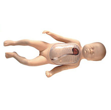  新生儿外周中心静脉插管模型KAR/L67B  