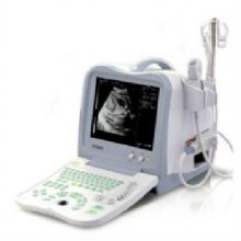 凯信兽用全数字超声诊断仪KX2600V 