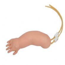  高级婴儿静脉穿刺手臂模型KAR/S15  