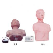  半身心肺复苏训练模拟人 KAS-CPR170简易型