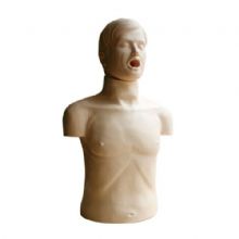  半身心肺复苏训练模拟人 KAS-CPR186可进行CPR操作