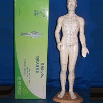 华佗针灸人体模型