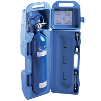 鱼跃供氧器XY-98BI型 4升