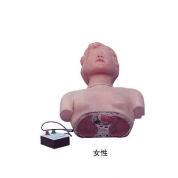 半身心肺复苏训练模拟人KAS/CPR170 简易型