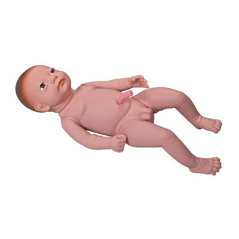  高级出生婴儿附脐带模型
