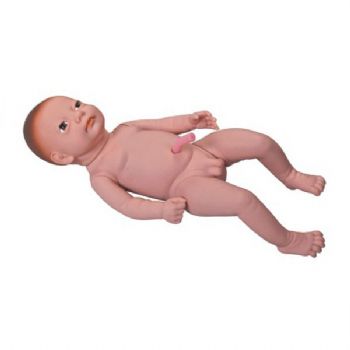  高级出生婴儿附脐带模型KAR/Y3  