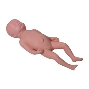  高级足月胎儿模型KAR/Y1  