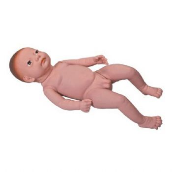  高级出生婴儿模型KAR/Y4  