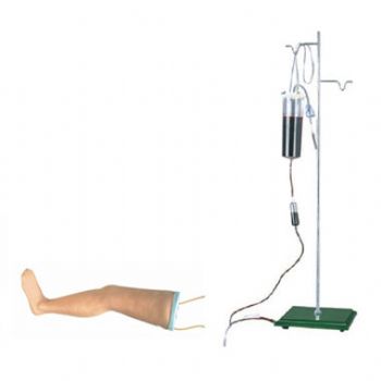  高级静脉输液腿模型KAR/S16  