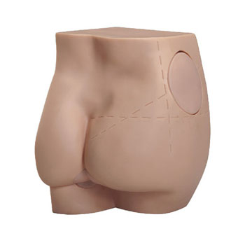  臀部注射实习模型KAR/T1  