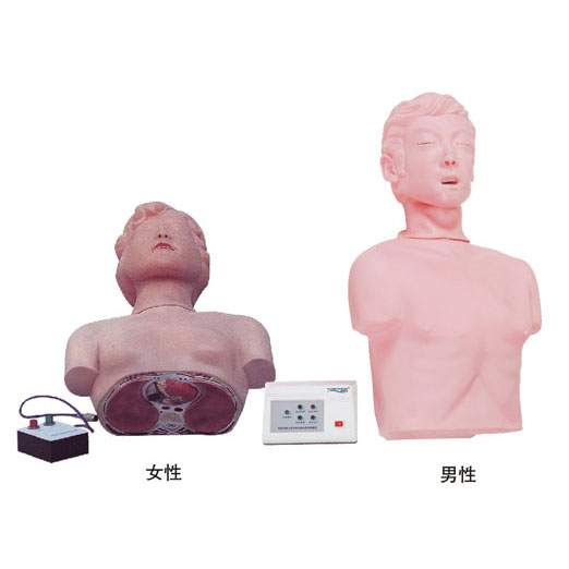  半身心肺复苏训练模拟人KAS-CPR170  
