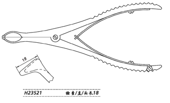 金钟鼻镜