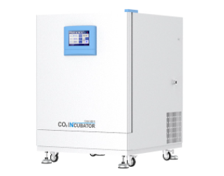 一恒二氧化碳低温培养箱BPN-100CS  