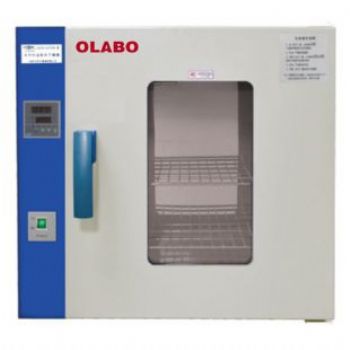 欧莱博电热鼓风干燥箱DHG-9960A 立式，带观察窗(RT+10-300°C)