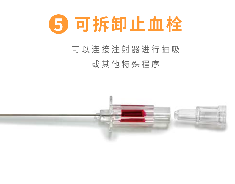 德国贝朗Introcan Safety-W 英全康24G  