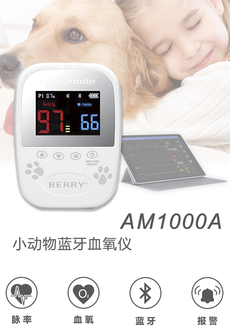 貝瑞 小動物藍牙血氧儀 AM1000A