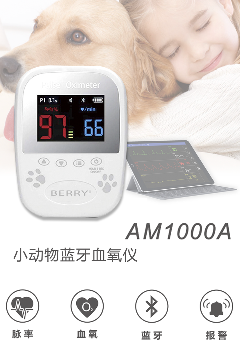 贝瑞 小动物蓝牙血氧仪 AM1000A