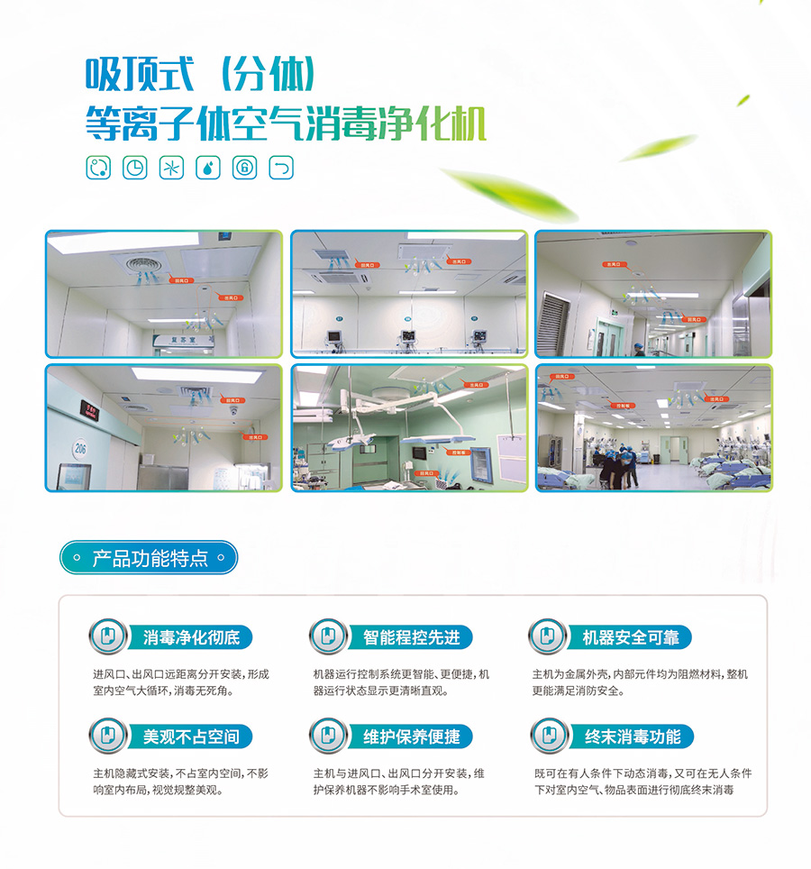 金银花牌吸顶式空气消毒净化机 产品功能