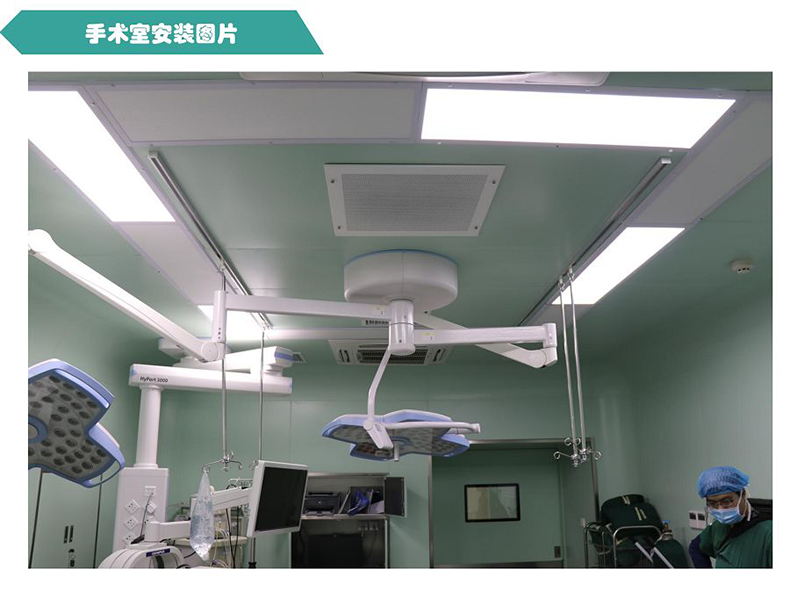 金银花牌吸顶式空气消毒净化机
