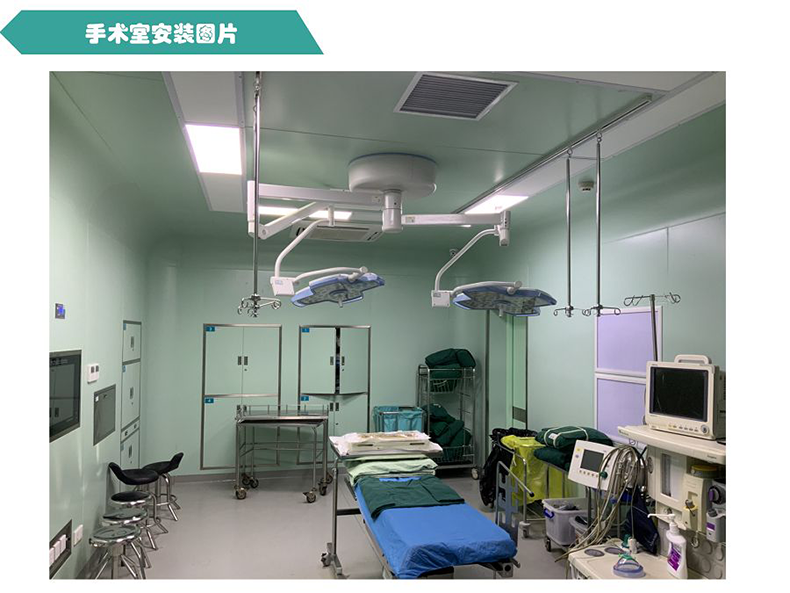 金银花牌吸顶式空气消毒净化机
