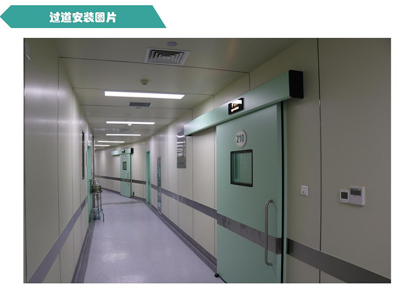 金银花牌吸顶式空气消毒净化机