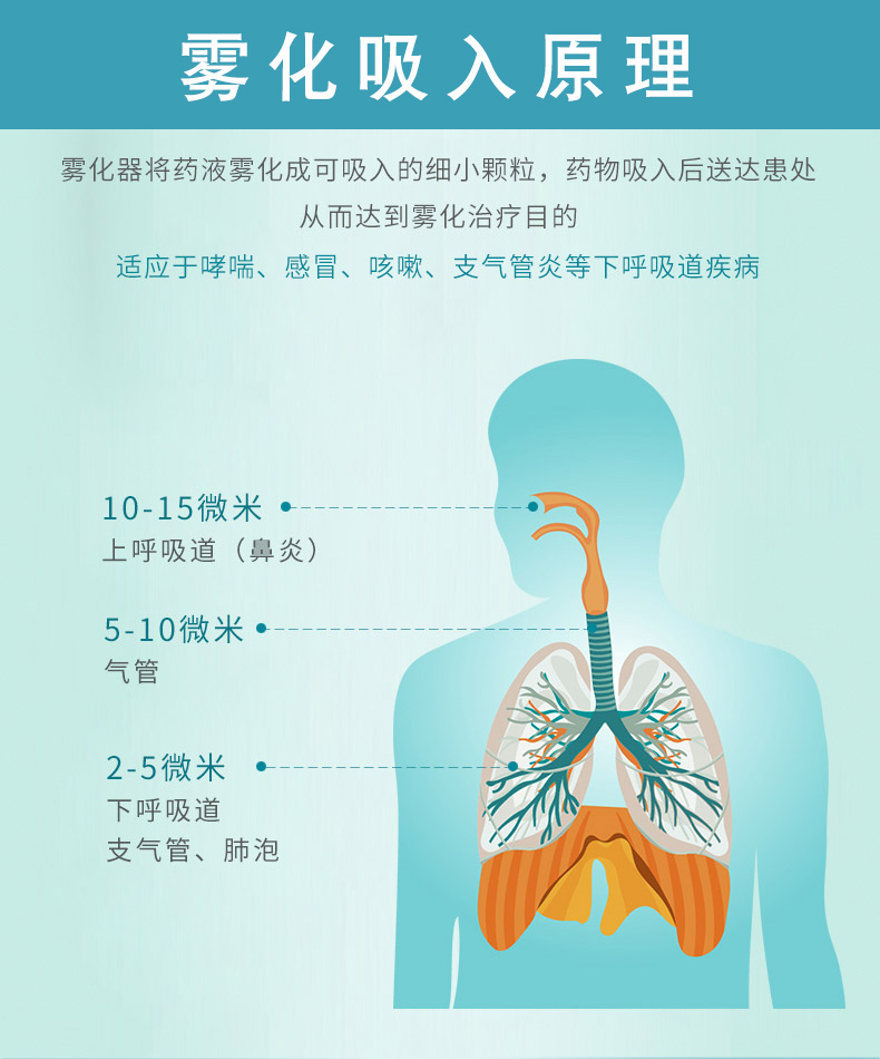 PARI 德国帕瑞雾化器BOY（085G3055）