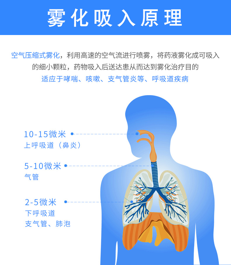 PARI 德国帕瑞雾化器Compact N-P